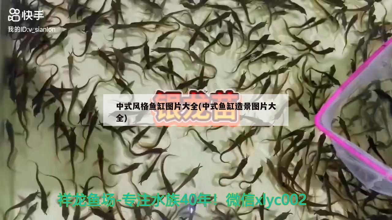 中式风格鱼缸图片大全(中式鱼缸造景图片大全)