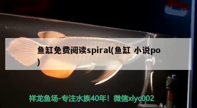 鱼缸免费阅读spiral(鱼缸小说po) 广州祥龙国际水族贸易
