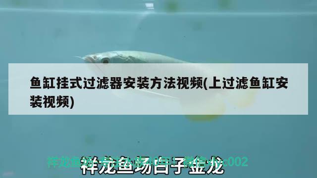 鱼缸挂式过滤器安装方法视频(上过滤鱼缸安装视频)