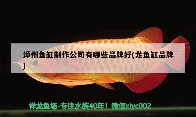 漳州鱼缸制作公司有哪些品牌好(龙鱼缸品牌) 帝王血钻鱼 第3张