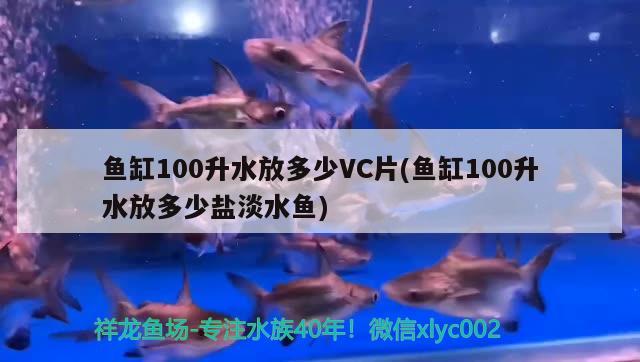 鱼缸100升水放多少VC片(鱼缸100升水放多少盐淡水鱼)