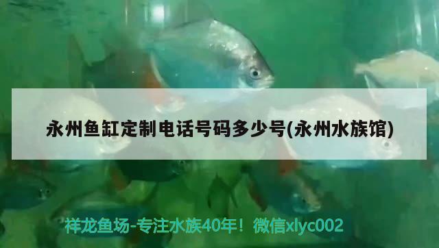 永州鱼缸定制电话号码多少号(永州水族馆) 红白锦鲤鱼