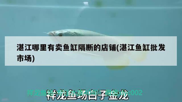 湛江哪里有卖鱼缸隔断的店铺(湛江鱼缸批发市场) 龙鱼百科