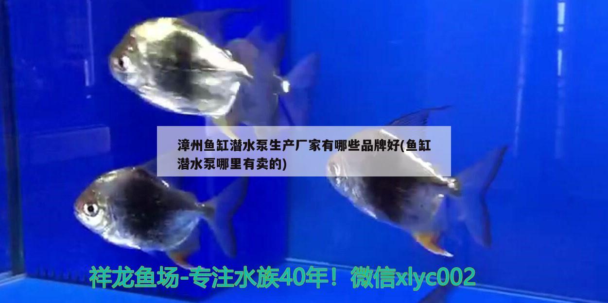 漳州鱼缸潜水泵生产厂家有哪些品牌好(鱼缸潜水泵哪里有卖的)