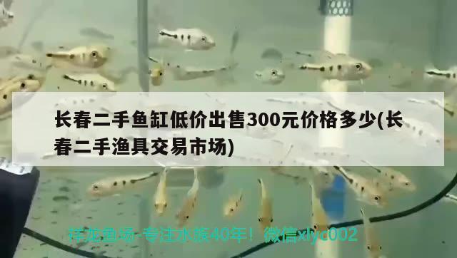 长春二手鱼缸低价出售300元价格多少(长春二手渔具交易市场) 广州水族批发市场