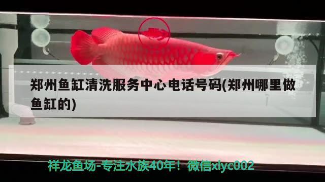 郑州鱼缸清洗服务中心电话号码(郑州哪里做鱼缸的)