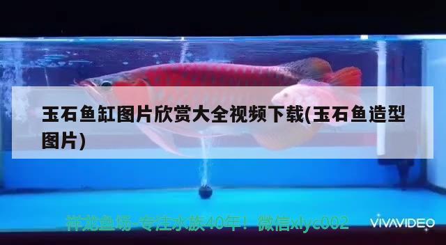 玉石鱼缸图片欣赏大全视频下载(玉石鱼造型图片)