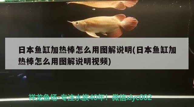 日本鱼缸加热棒怎么用图解说明(日本鱼缸加热棒怎么用图解说明视频)