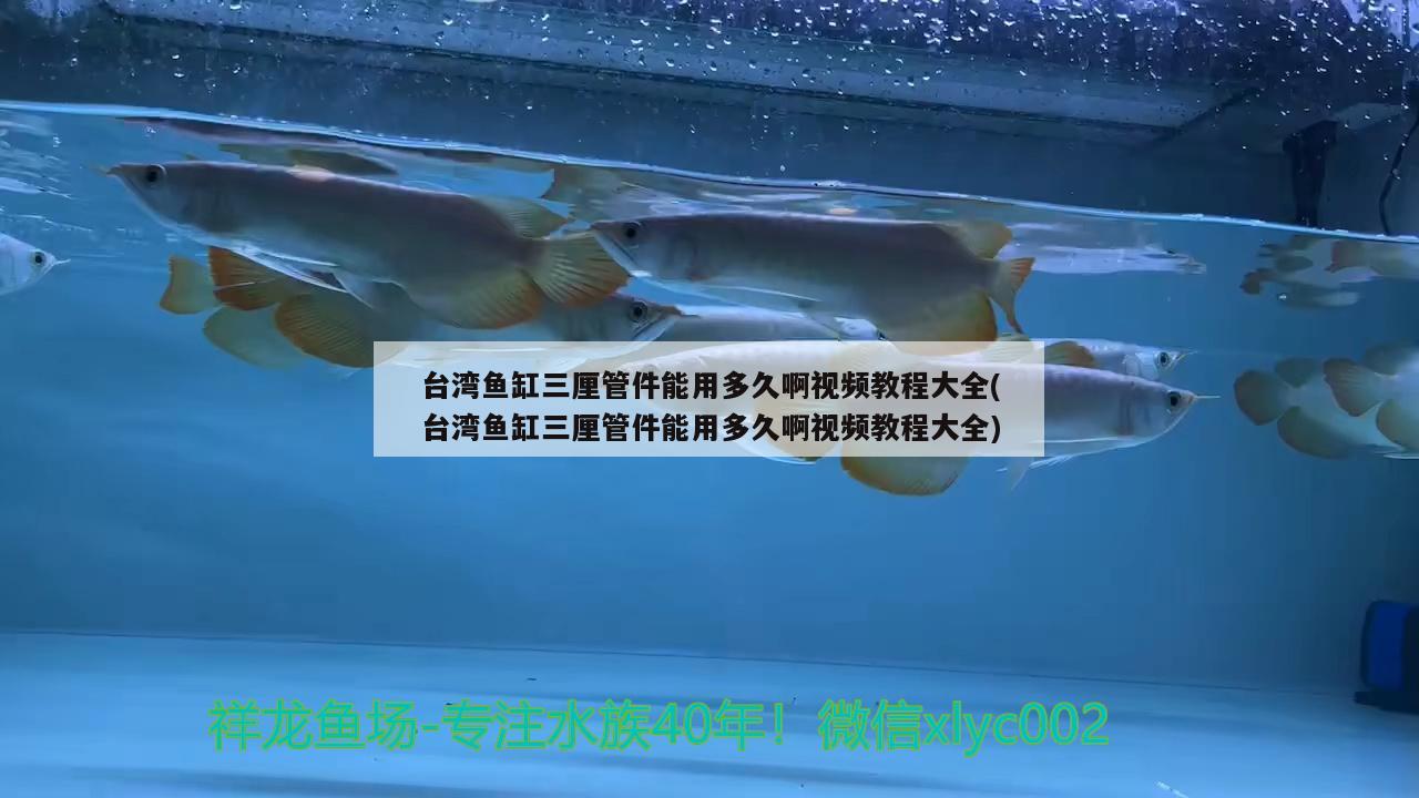 台湾鱼缸三厘管件能用多久啊视频教程大全(台湾鱼缸三厘管件能用多久啊视频教程大全) 龙鱼芯片扫码器