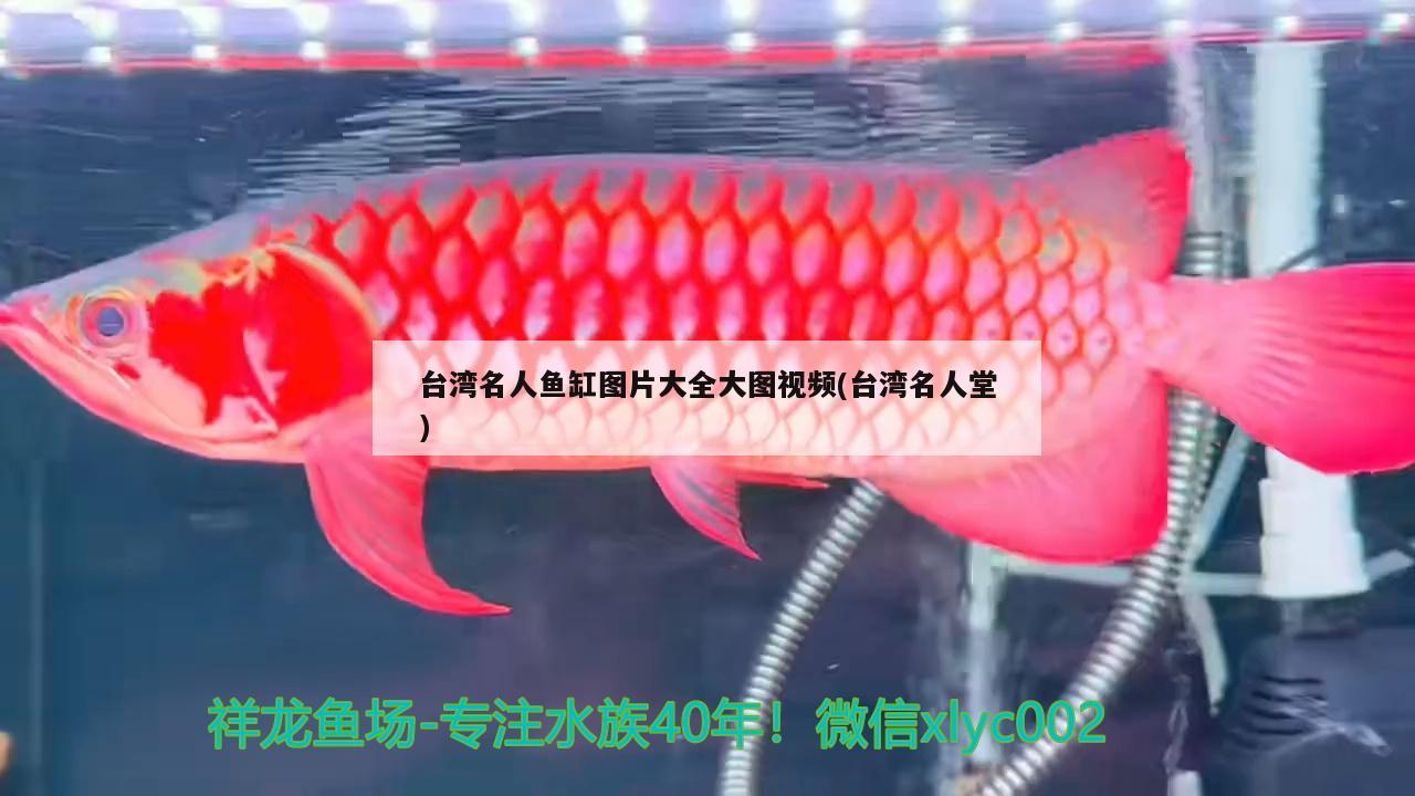 台湾名人鱼缸图片大全大图视频(台湾名人堂)