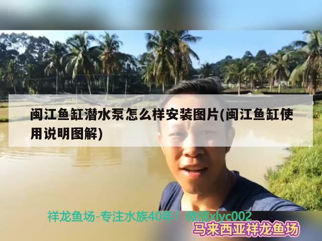 闽江鱼缸潜水泵怎么样安装图片(闽江鱼缸使用说明图解)
