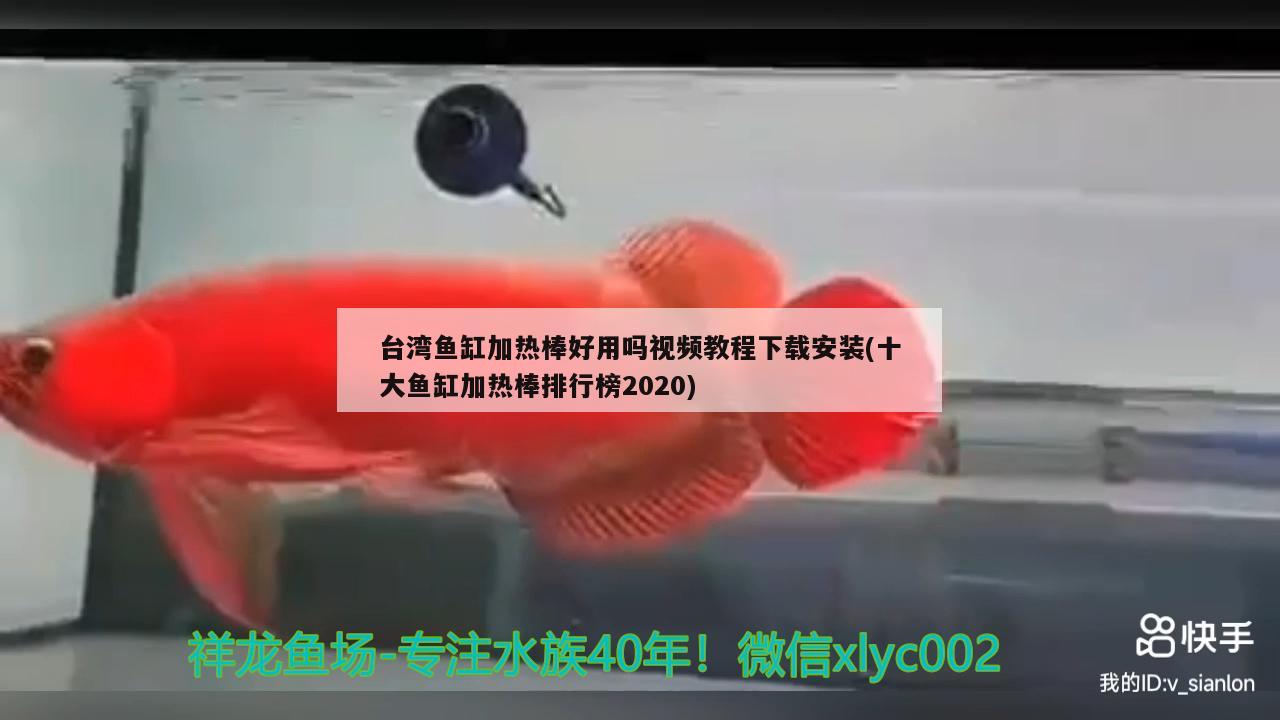 台湾鱼缸加热棒好用吗视频教程下载安装(十大鱼缸加热棒排行榜2020)