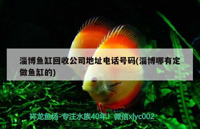 淄博鱼缸回收公司地址电话号码(淄博哪有定做鱼缸的)
