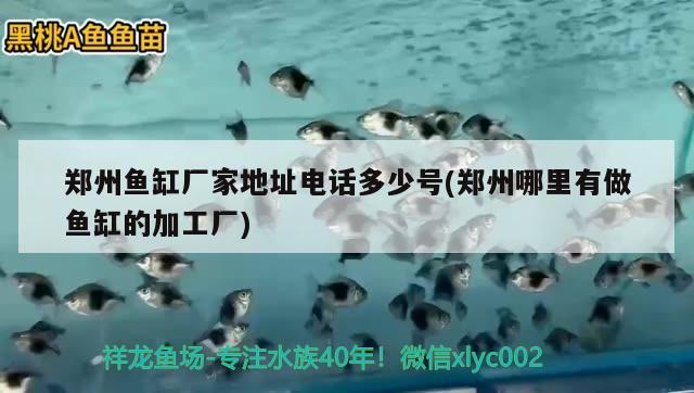 郑州鱼缸厂家地址电话多少号(郑州哪里有做鱼缸的加工厂) 广州龙鱼批发市场