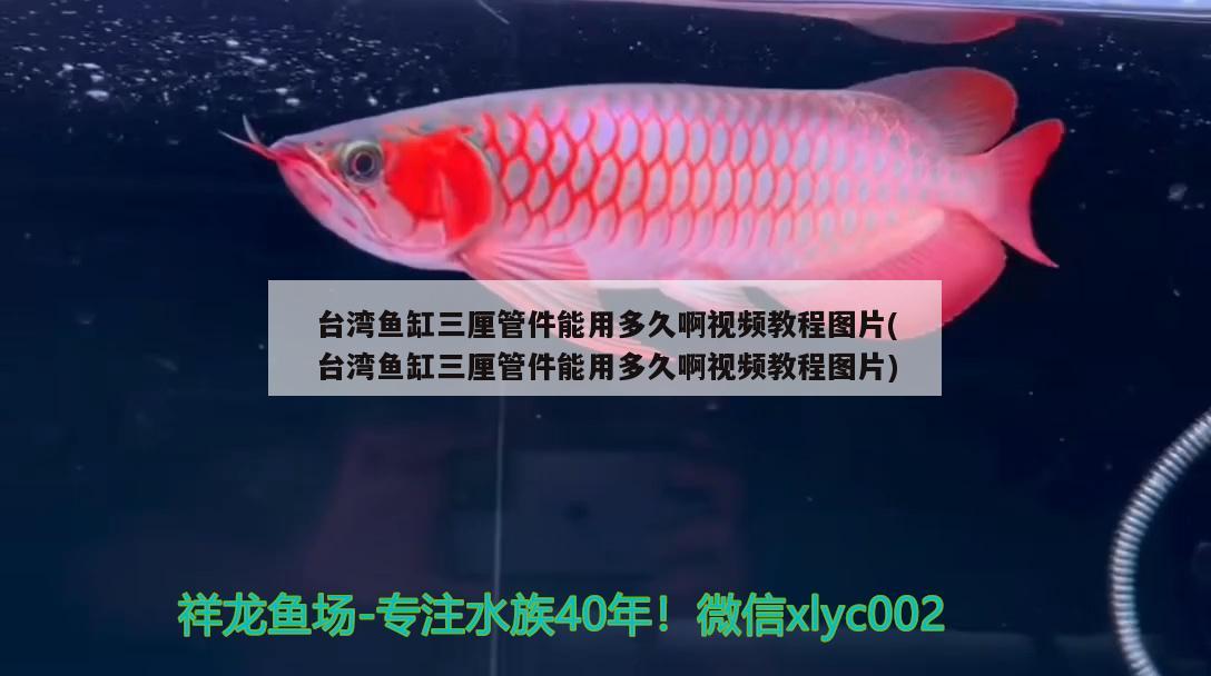 台湾鱼缸三厘管件能用多久啊视频教程图片(台湾鱼缸三厘管件能用多久啊视频教程图片)