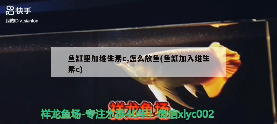鱼缸里加维生素c,怎么放鱼(鱼缸加入维生素c) 广州龙鱼批发市场