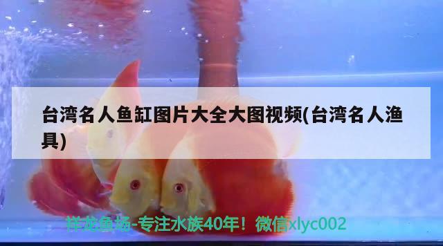 台湾名人鱼缸图片大全大图视频(台湾名人渔具)