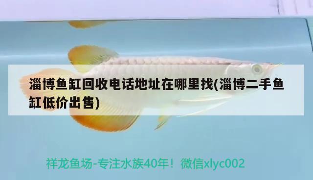 淄博鱼缸回收电话地址在哪里找(淄博二手鱼缸低价出售) 祥龙传奇品牌鱼缸