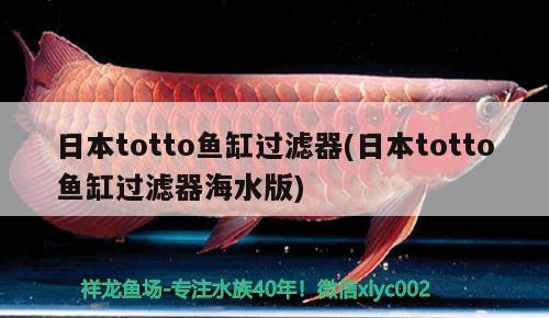 日本totto鱼缸过滤器(日本totto鱼缸过滤器海水版)