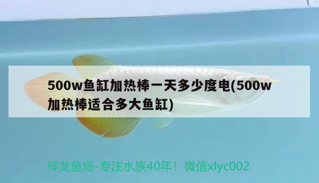 500w鱼缸加热棒一天多少度电(500w加热棒适合多大鱼缸)