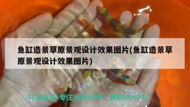 鱼缸造景草原景观设计效果图片(鱼缸造景草原景观设计效果图片) 广州景观设计