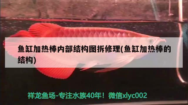 鱼缸加热棒内部结构图拆修理(鱼缸加热棒的结构) 红白锦鲤鱼