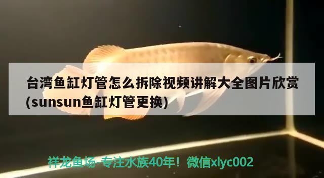 台湾鱼缸灯管怎么拆除视频讲解大全图片欣赏(sunsun鱼缸灯管更换)