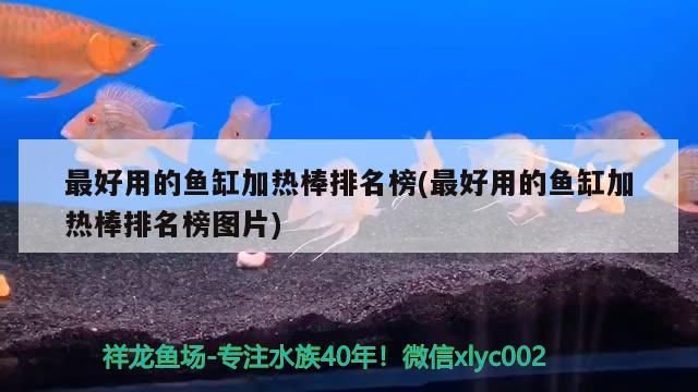最好用的鱼缸加热棒排名榜(最好用的鱼缸加热棒排名榜图片) 广州水族批发市场