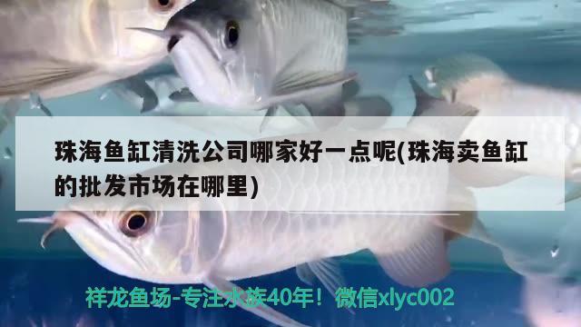 珠海鱼缸清洗公司哪家好一点呢(珠海卖鱼缸的批发市场在哪里) 二氧化碳设备