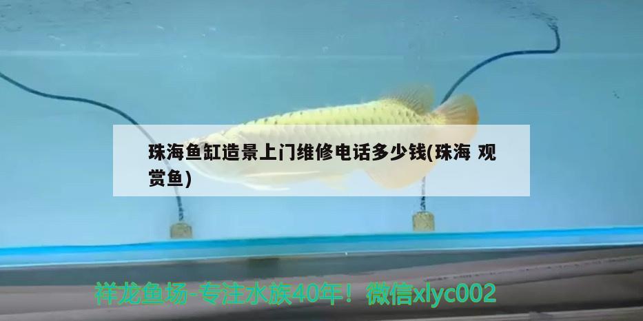 珠海鱼缸造景上门维修电话多少钱(珠海观赏鱼)