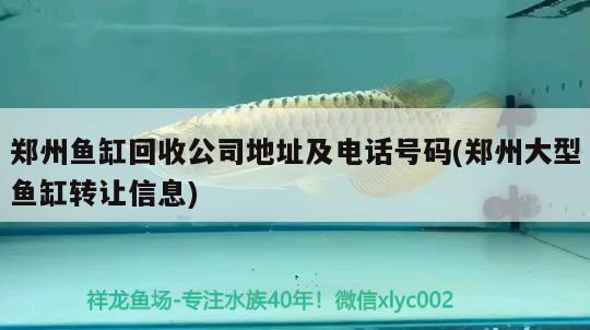 郑州鱼缸回收公司地址及电话号码(郑州大型鱼缸转让信息)