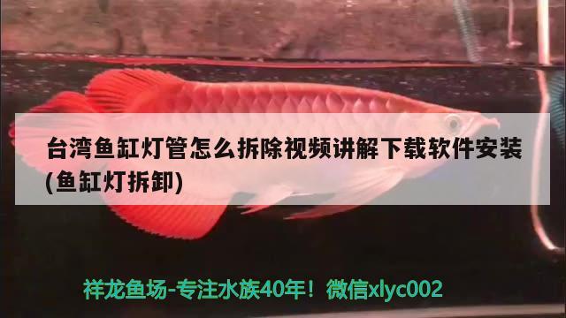 台湾鱼缸灯管怎么拆除视频讲解下载软件安装(鱼缸灯拆卸)