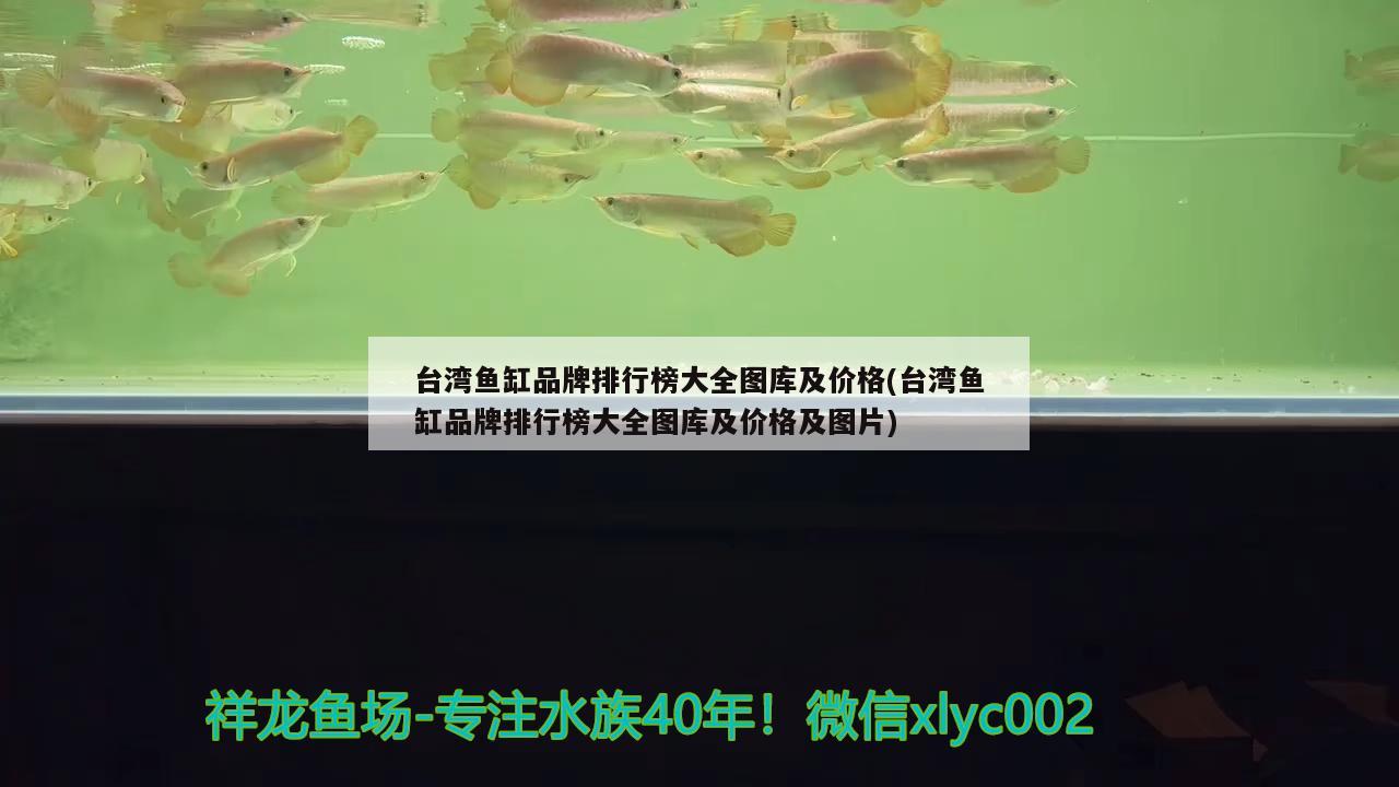 台湾鱼缸品牌排行榜大全图库及价格(台湾鱼缸品牌排行榜大全图库及价格及图片) 黄金斑马鱼