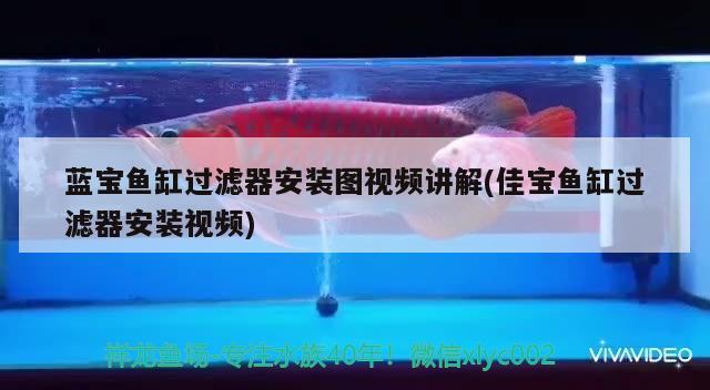 蓝宝鱼缸过滤器安装图视频讲解(佳宝鱼缸过滤器安装视频) 豹纹夫鱼苗