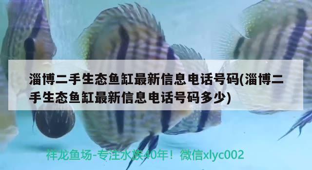 淄博二手生态鱼缸最新信息电话号码(淄博二手生态鱼缸最新信息电话号码多少)