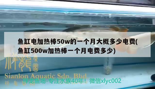 鱼缸电加热棒50w的一个月大概多少电费(鱼缸500w加热棒一个月电费多少) 青龙鱼