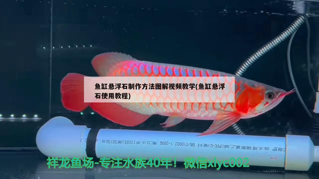 鱼缸悬浮石制作方法图解视频教学(鱼缸悬浮石使用教程) 福魟魟鱼