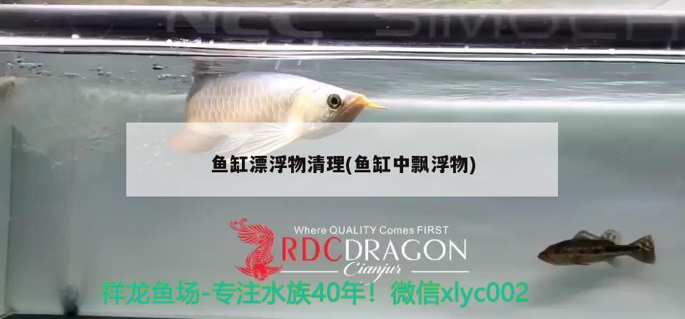 鱼缸漂浮物清理(鱼缸中飘浮物) 广州水族器材滤材批发市场