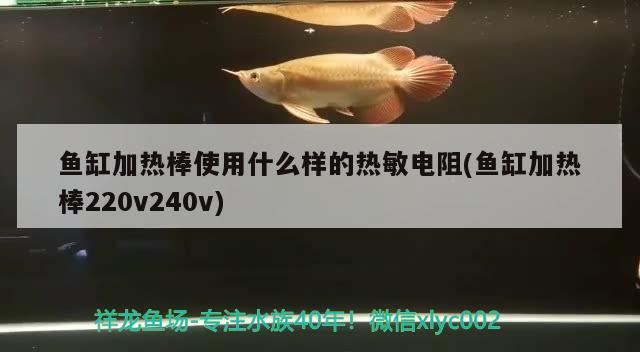 鱼缸加热棒使用什么样的热敏电阻(鱼缸加热棒220v240v)