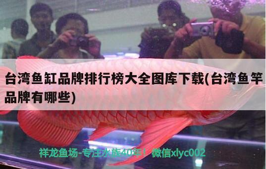 台湾鱼缸品牌排行榜大全图库下载(台湾鱼竿品牌有哪些) 垂钓乐园