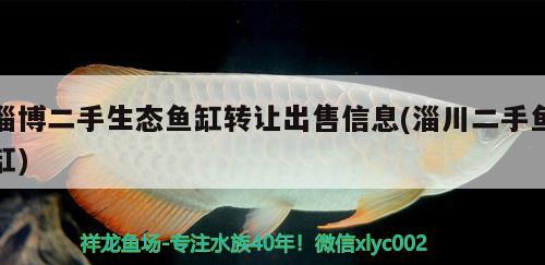 淄博二手生态鱼缸转让出售信息(淄川二手鱼缸) 泰国虎鱼