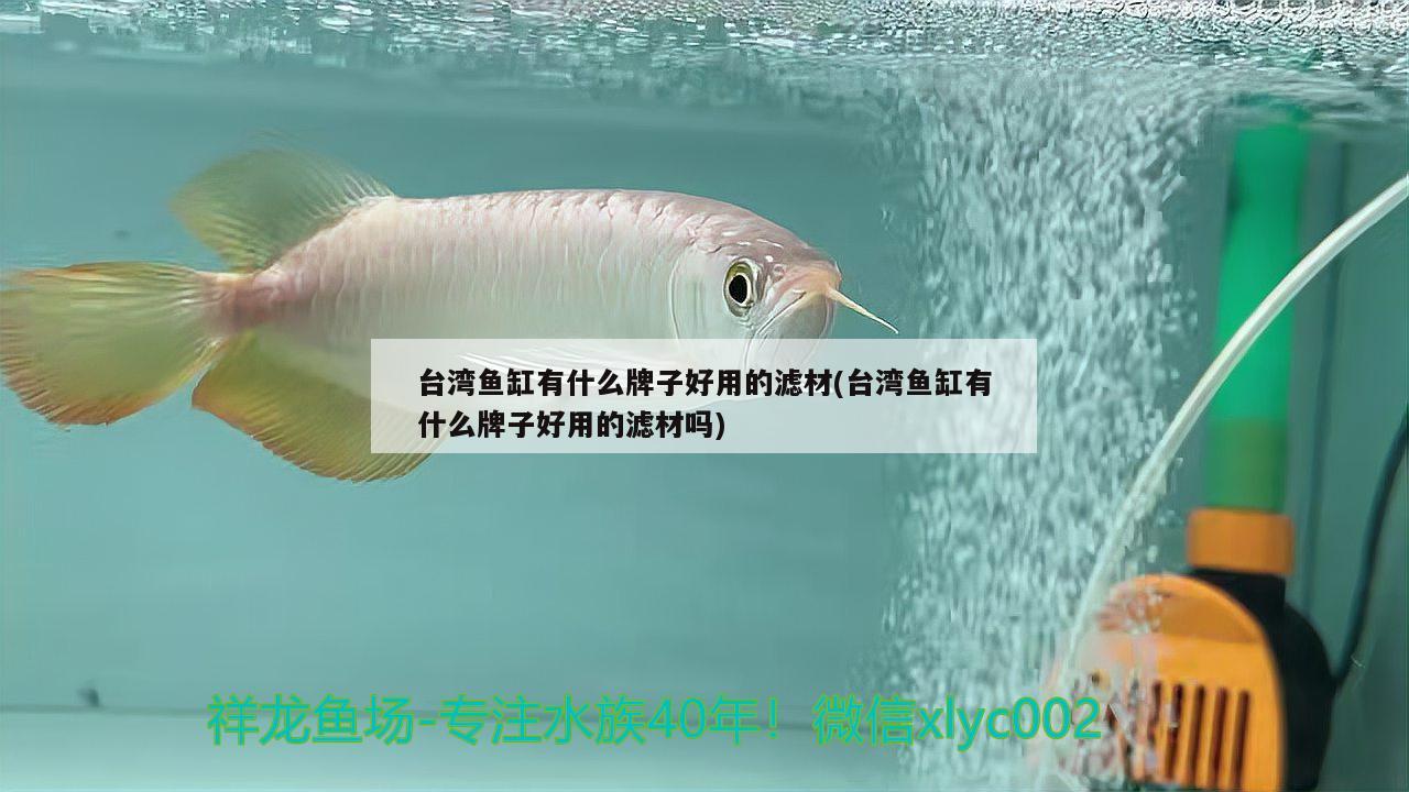 台湾鱼缸有什么牌子好用的滤材(台湾鱼缸有什么牌子好用的滤材吗)