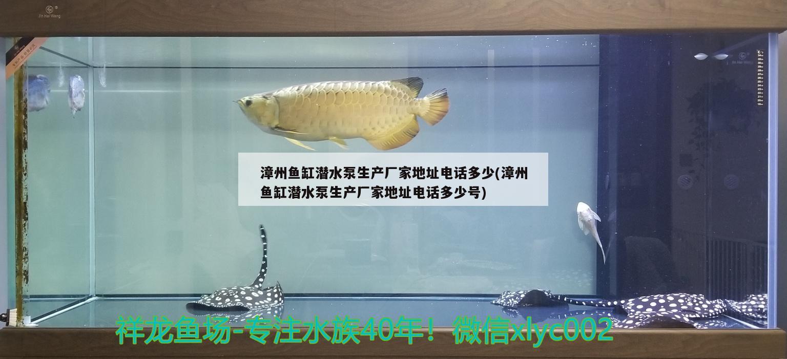 漳州鱼缸潜水泵生产厂家地址电话多少(漳州鱼缸潜水泵生产厂家地址电话多少号)