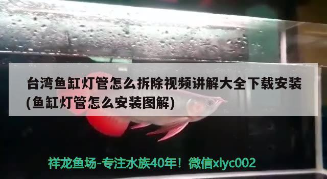 台湾鱼缸灯管怎么拆除视频讲解大全下载安装(鱼缸灯管怎么安装图解) 银古鱼苗