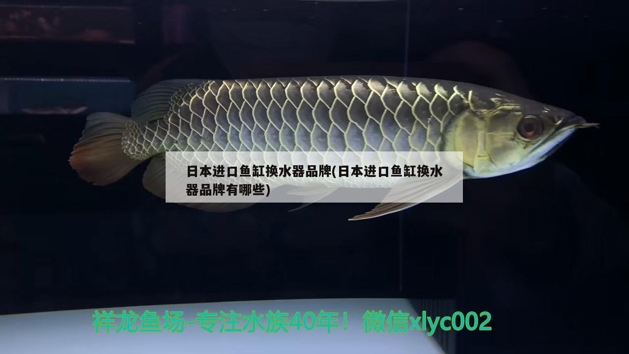 日本进口鱼缸换水器品牌(日本进口鱼缸换水器品牌有哪些) 帝王血钻