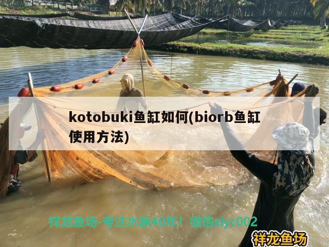 kotobuki鱼缸如何(biorb鱼缸使用方法)