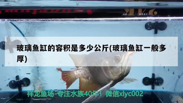 玻璃鱼缸的容积是多少公斤(玻璃鱼缸一般多厚) 龙鱼专用灯