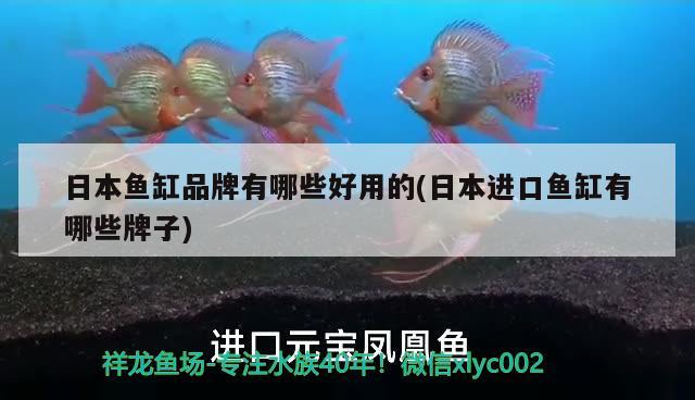 日本鱼缸品牌有哪些好用的(日本进口鱼缸有哪些牌子)