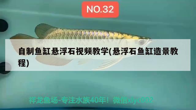 自制鱼缸悬浮石视频教学(悬浮石鱼缸造景教程)
