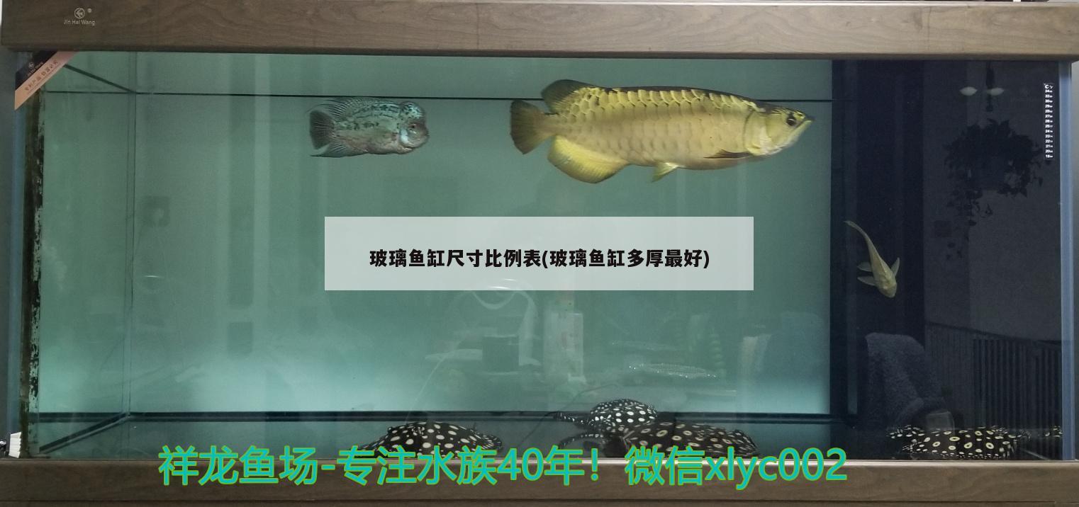 玻璃鱼缸尺寸比例表(玻璃鱼缸多厚最好) 鱼粮鱼药
